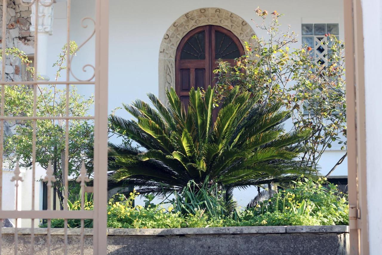 Casa Vacanza D'Arte Salentina Hotel Specchia Luaran gambar
